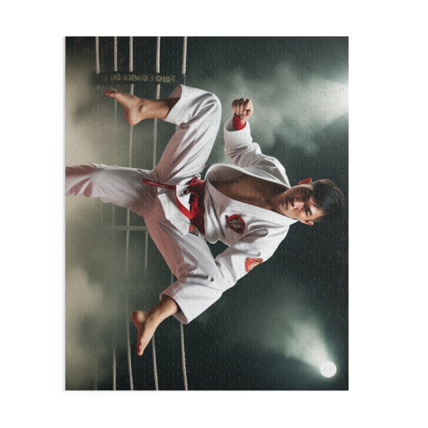 Puzzle (120, 252, 500-Piece)