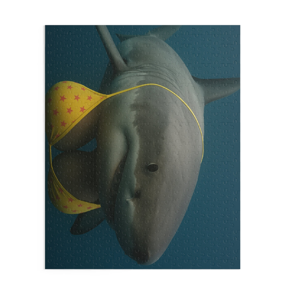 Shark in Bikini Jigsaw Puzzle — Funny Ocean Animal Puzzle (120/252/500 pcs)