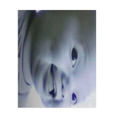 Niche Baby Puzzle — 120/252/500-Piece