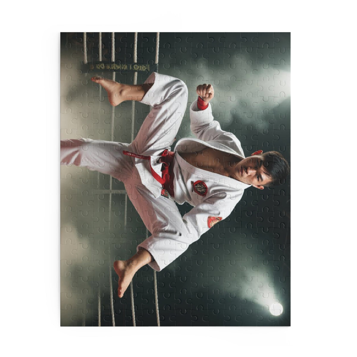 Puzzle (120, 252, 500-Piece)